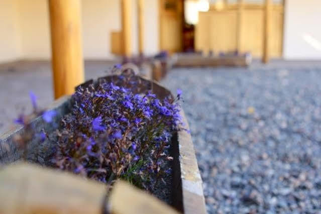 Hotel Tierra Mapuche 에스켈 외부 사진